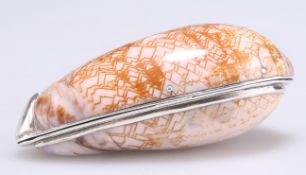 AN 18TH CENTURY SILVER-MOUNTED COWRIE SHELL SNUFF BOX