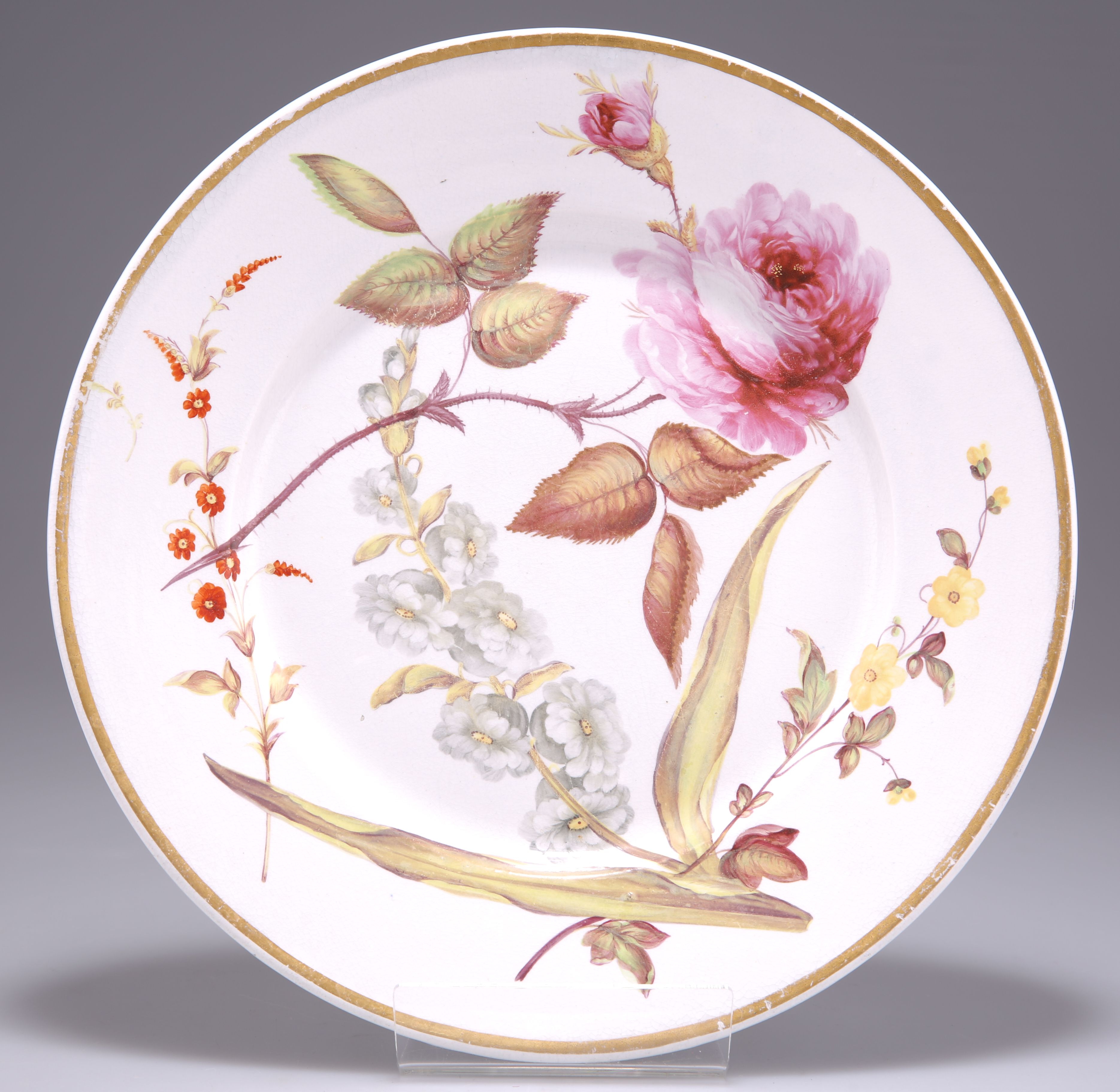 A ROCKINGHAM BRAMELD BOTANICAL PLATE