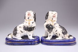 A PAIR OF STAFFORDSHIRE PORCELANEOUS MODELS OF KING CHARLES SPANIELS