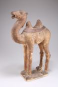 A TERRACOTTA BACTRIAN CAMEL, TANG STYLE