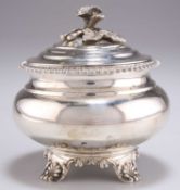 A WILLIAM IV SILVER CADDY