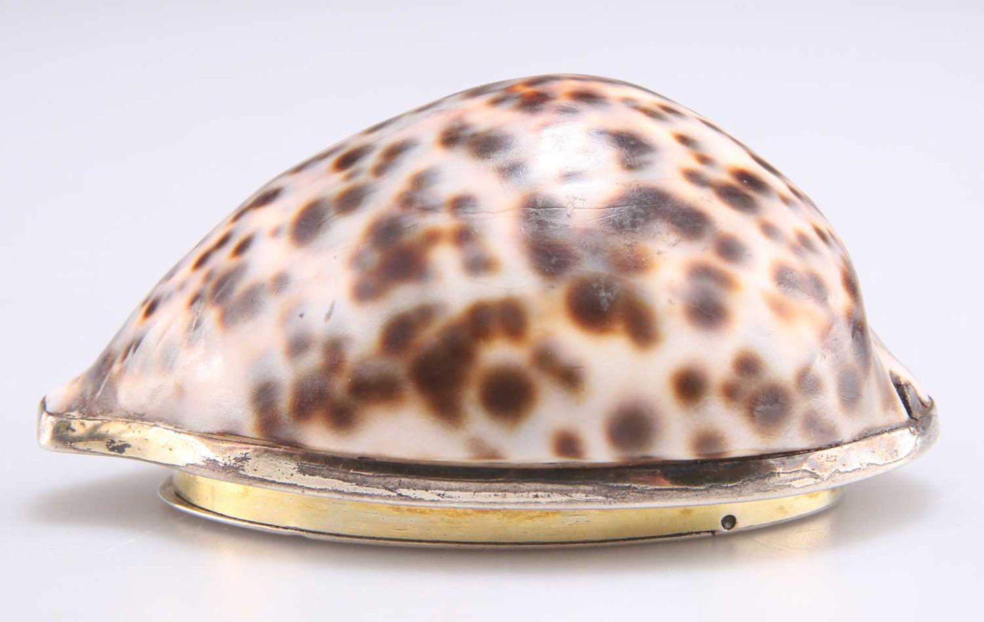 A GEORGE III SILVER-GILT MOUNTED COWRIE SHELL SNUFF BOX