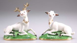 A CHAMBERLAINS WORCESTER WHITE STAG AND HIND, CIRCA 1825