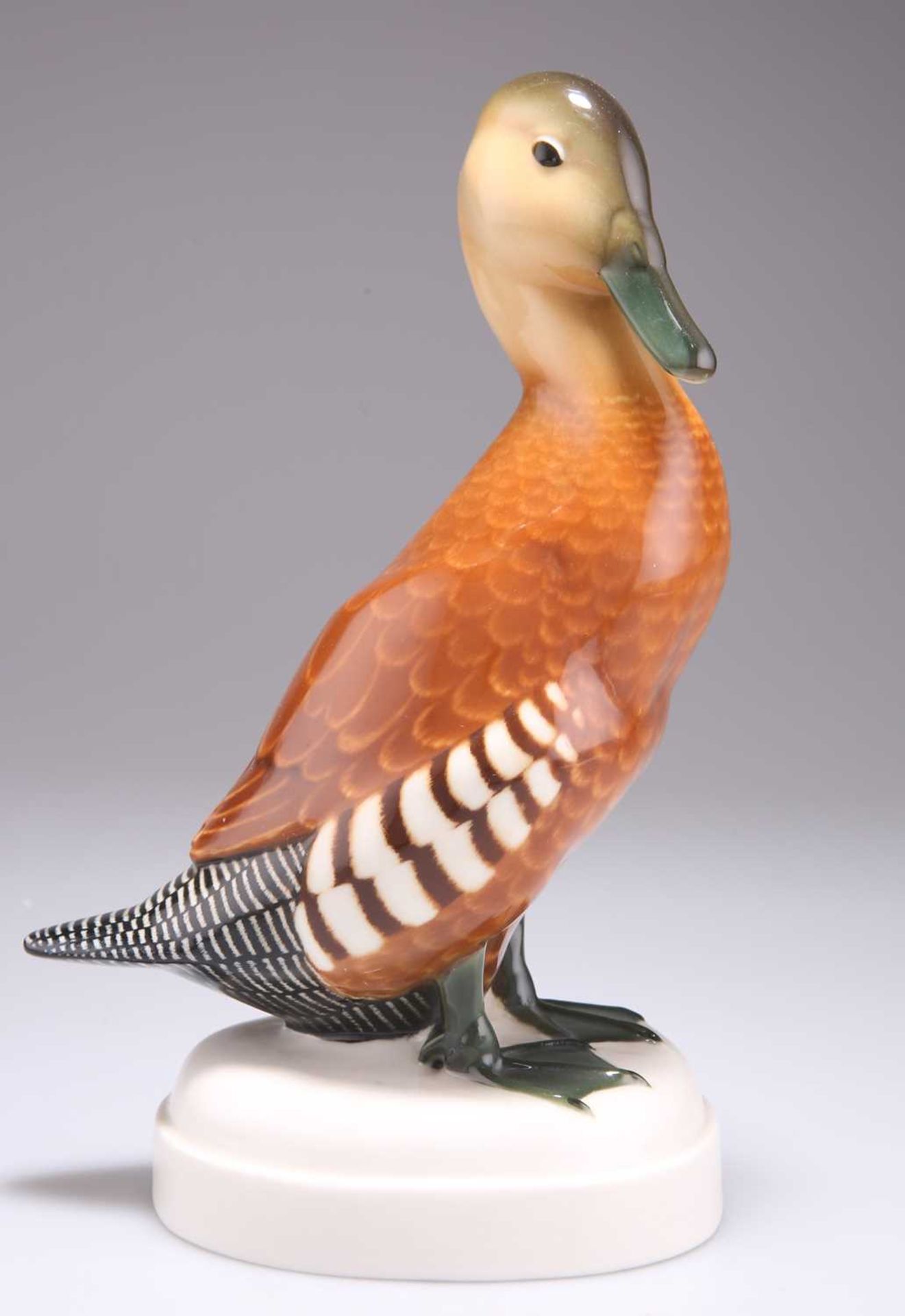 AN EARLY 20TH CENTURY SCHWARZBURGER WERKSTÄTTEN FÜR PORZELLANKUNST MODEL OF A DUCK