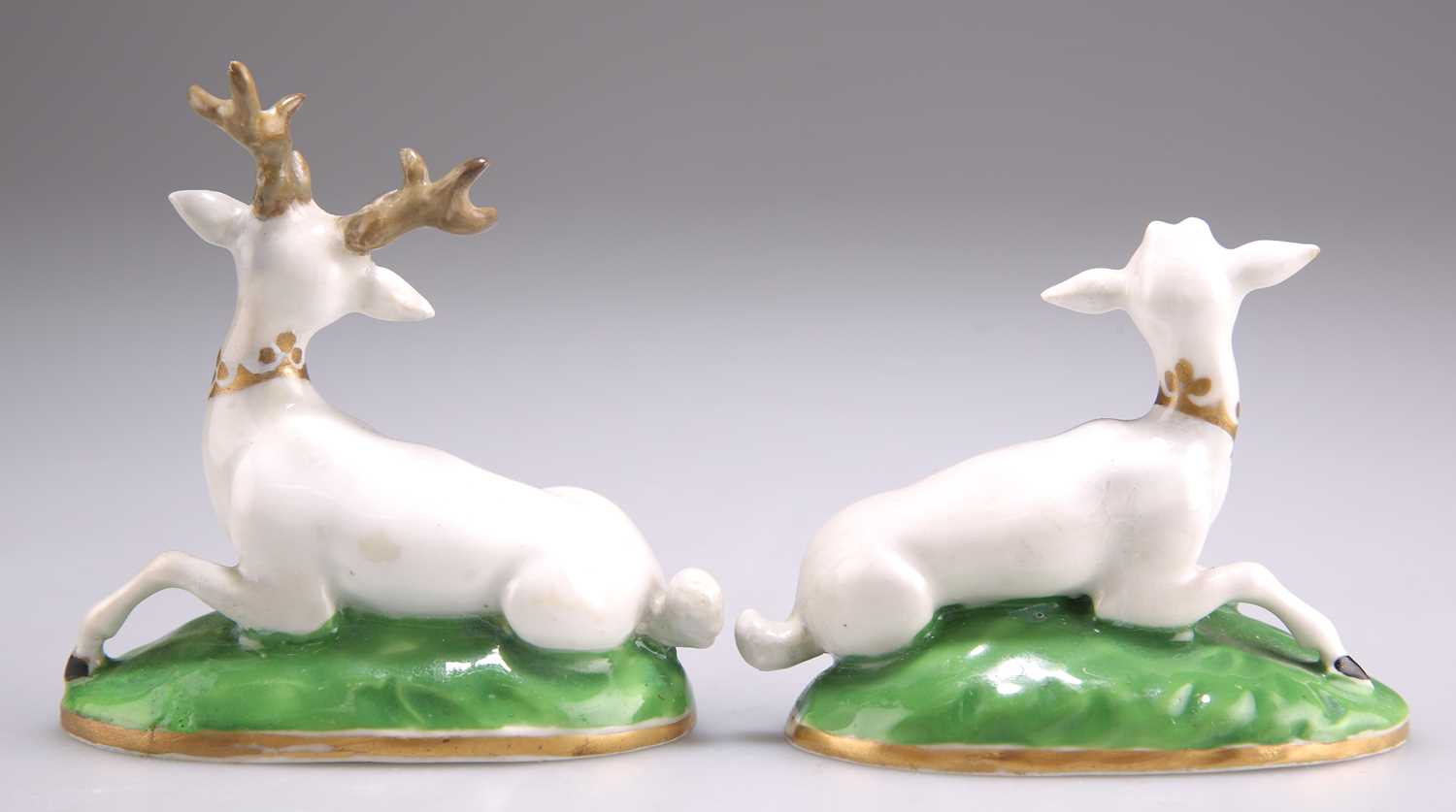 A CHAMBERLAINS WORCESTER WHITE STAG AND HIND, CIRCA 1825 - Bild 2 aus 2