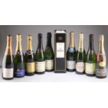 TEN 75CL BOTTLES OF CHAMPAGNE AND CREMENT WINES