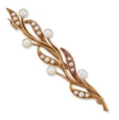 A LATE 19TH CENTURY SEED PEARL BAR BROOCH