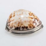 AN 18TH CENTURY SILVER-MOUNTED COWRIE SHELL SNUFF MULL