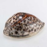 A GEORGE III SILVER-GILT MOUNTED COWRIE SHELL SNUFF BOX