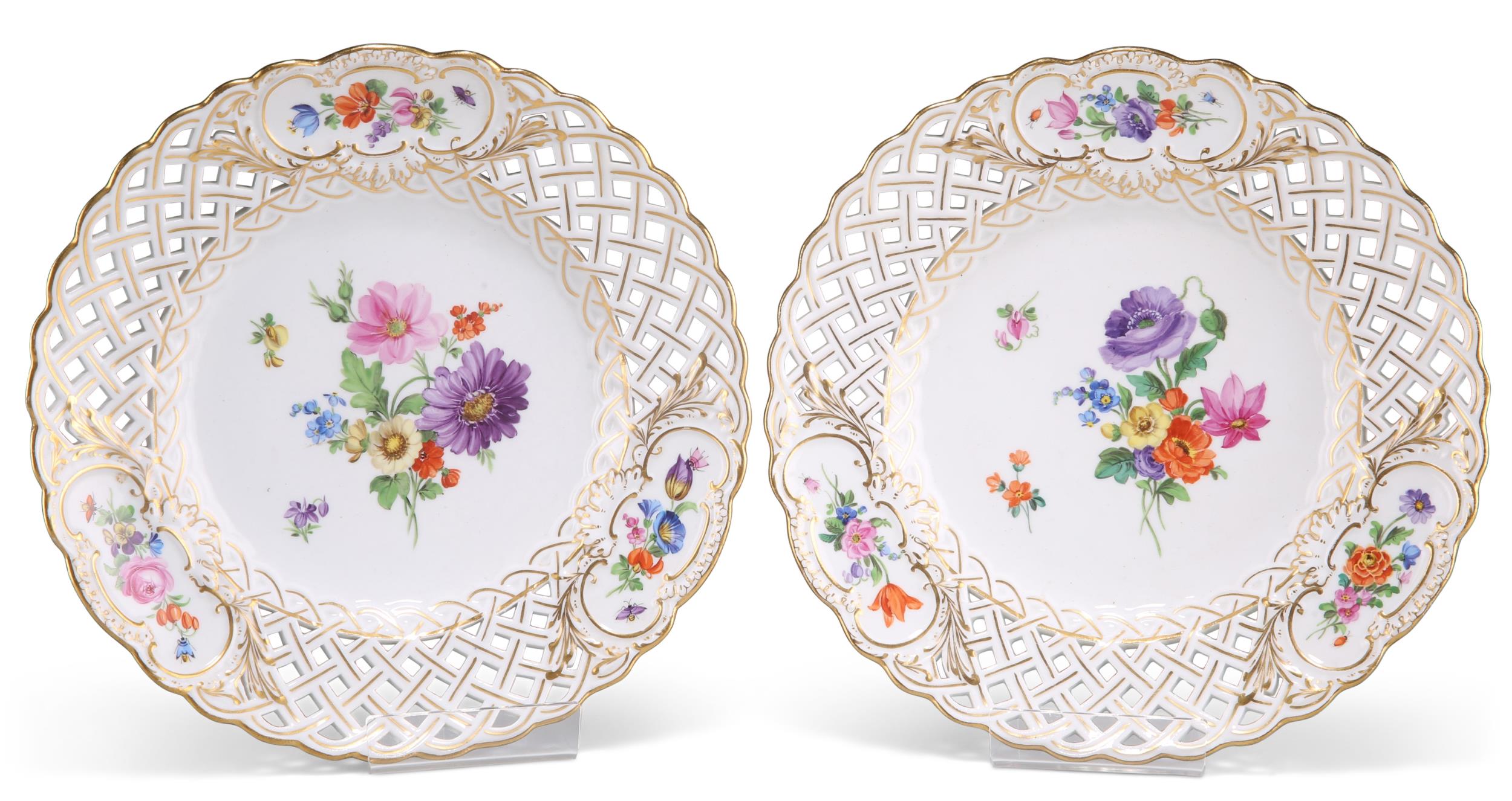 A PAIR OF MEISSEN BOTANICAL PLATES, LATE 19TH CENTURY