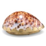A 19TH CENTURY BRASS-MOUNTED COWRIE SHELL SNUFF BOX, the polished shell mounted with a scallop edge,