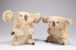 TWO MID-20TH CENTURY AUSTRALIAN KOALA BEARS