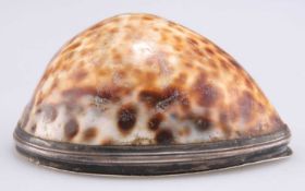 A SCOTTISH SILVER-MOUNTED COWRIE SHELL SNUFF BOX, LATE 18TH CENTURY