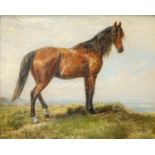 ENGLISH SCHOOL (19TH/20TH CENTURY) PORTRAIT OF A HORSE IN A COASTAL LANDSCAPE