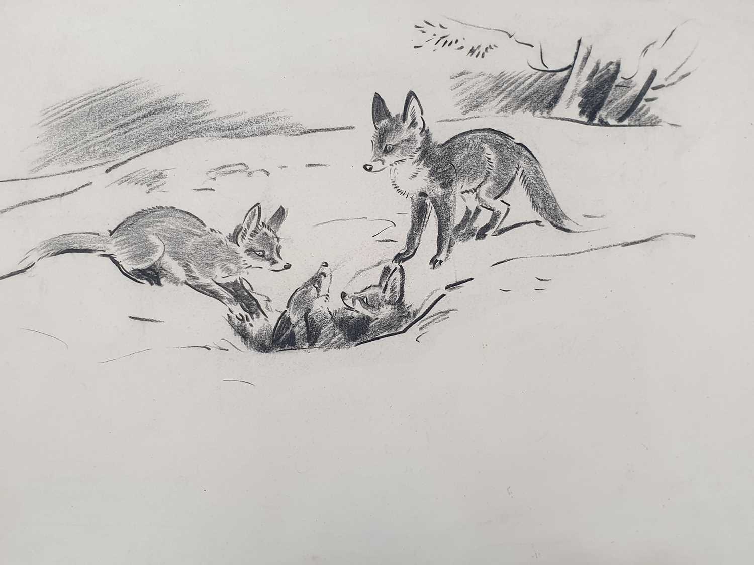 EILEEN ALICE SOPER (1905-1990) TWENTY-FIVE ORIGINAL DRAWINGS OF ANIMALS - Image 2 of 32
