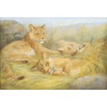 HARRY DIXON (1861-1942) LION CUBS