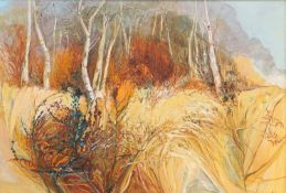 PENNY MCLEAN (CONTEMPORARY) AUTUMN WOODS