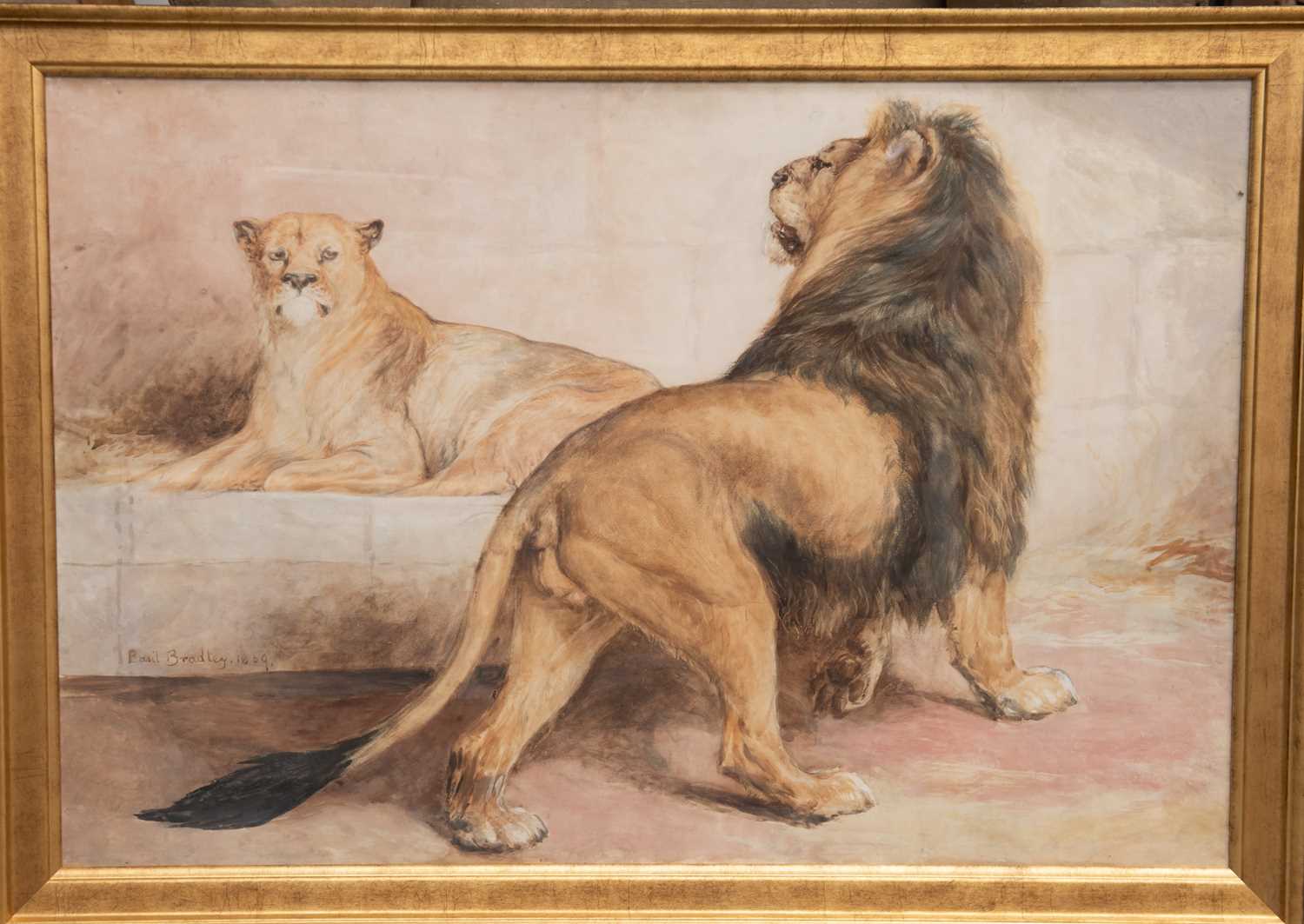 BASIL BRADLEY RWS (1842-1904) LION AND LIONESS - Image 2 of 3