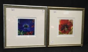 NEL WHATMORE (CONTEMPORARY), A PAIR OF FLORAL STUDIES