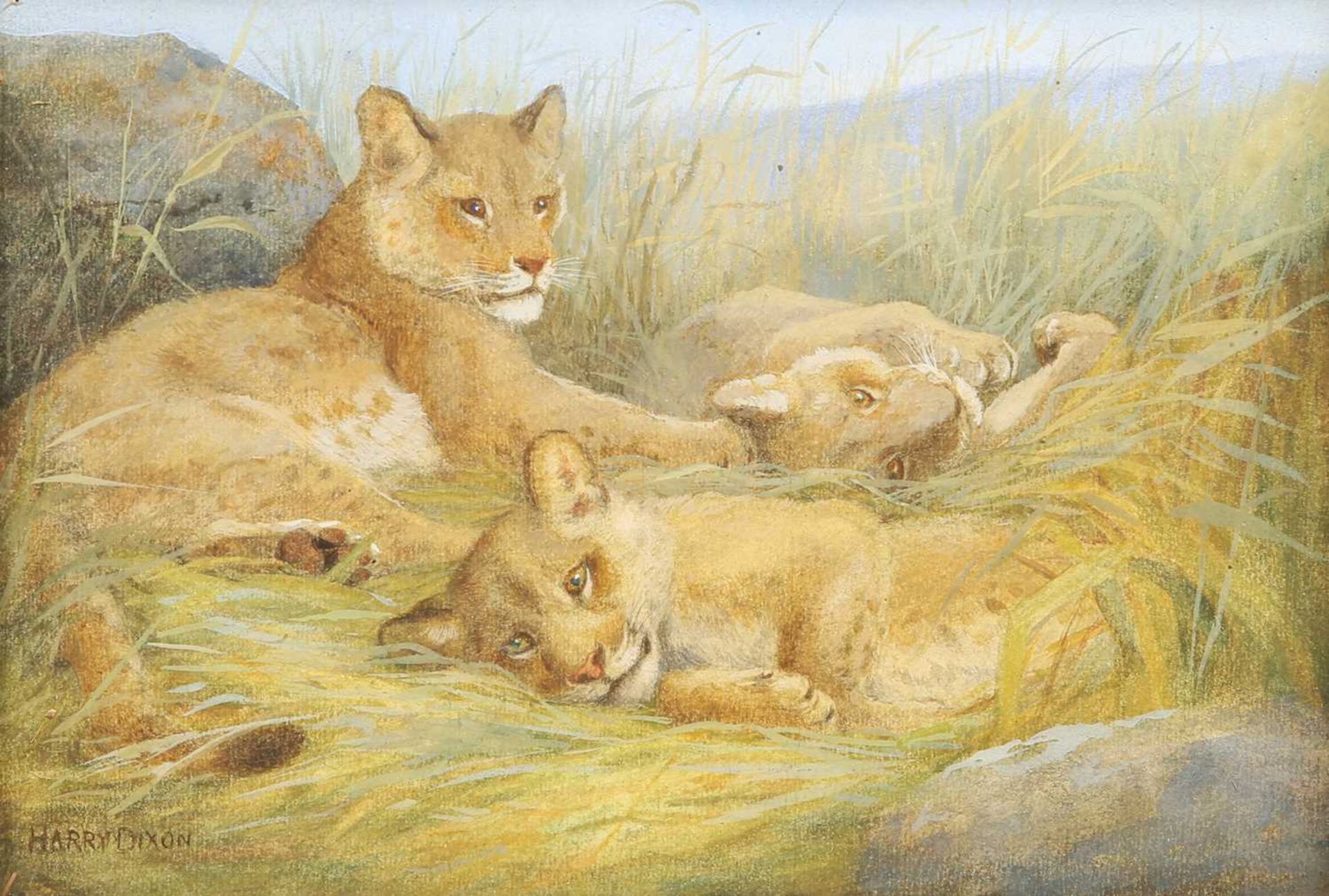 HARRY DIXON (1861-1942) LION CUBS