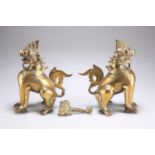 A PAIR OF EARLY 20TH CENTURY BRONZE BURMESE CHINTHE MYTHICAL LIONS AND A CHINESE BELT HOOK