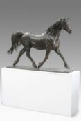 SALLY ARNUP FRBS, ARCA (1930-2015) ARAB HORSE ASLAN (1985)
