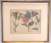 19TH CENTURY SCHOOL SET OF SIX HAND COLOURED BOTANICAL ETCHINGS
