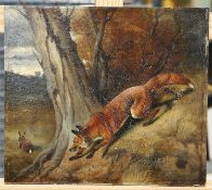 ALFRED WHEELER (1851-1932) A FOX STALKING A RABBIT