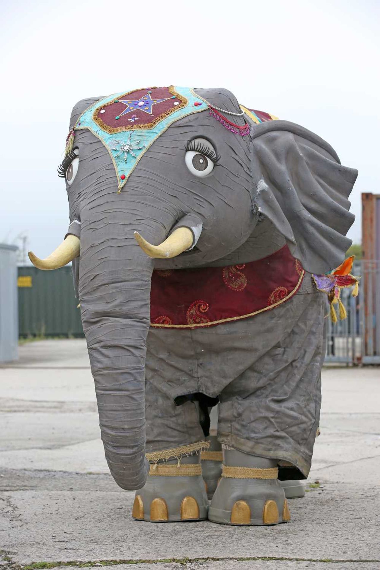 INDIAN ELEPHANT