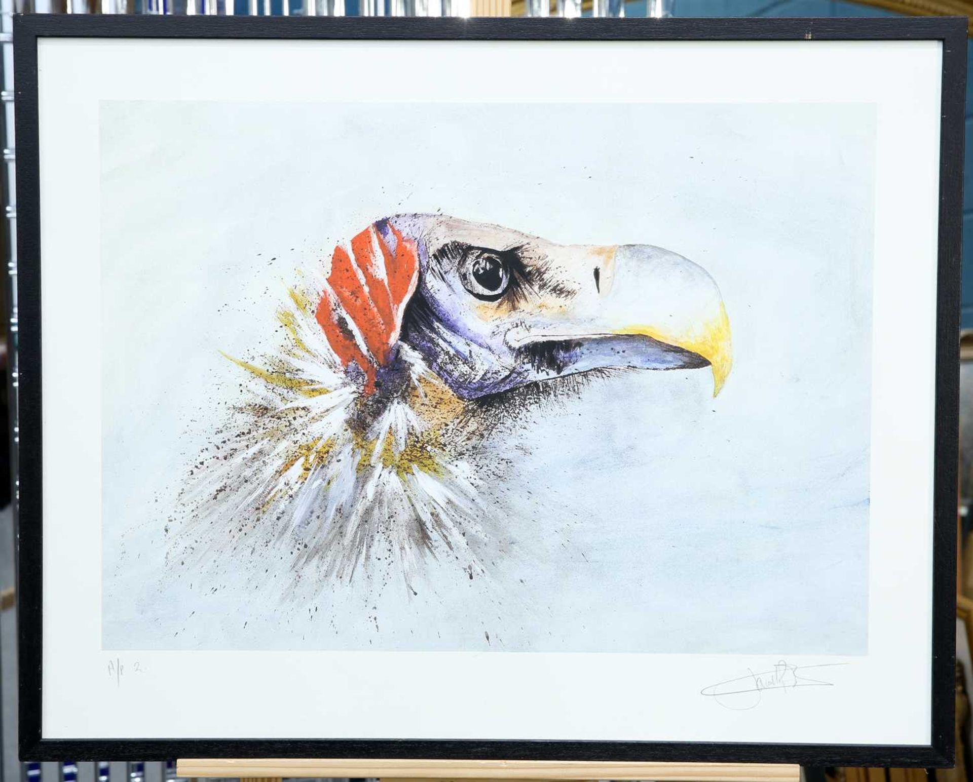 J POOLE (CONTEMPORARY) VULTURE