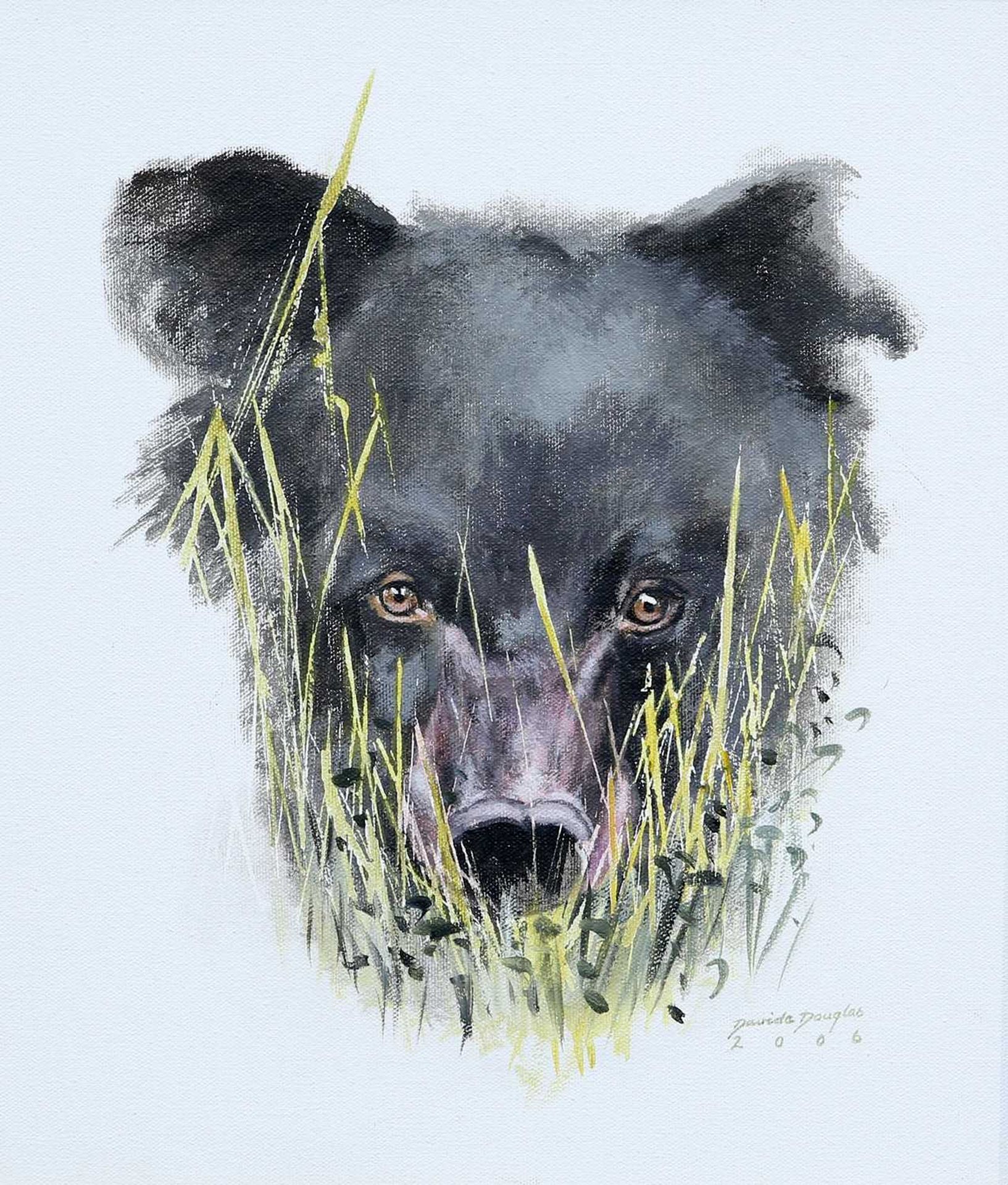 DAVID DOUGLAS (CONTEMPORARY) A BEAR THROUGH THE GRASS