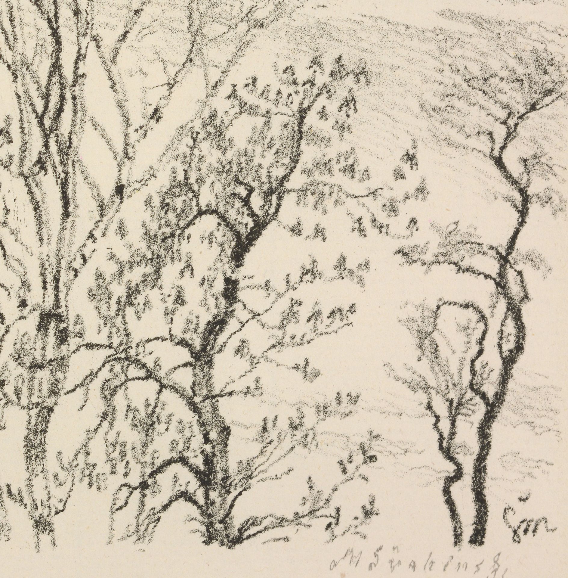 MAX ŠVABINSKÝ /1873-1962/ „Trees“ - Image 3 of 4