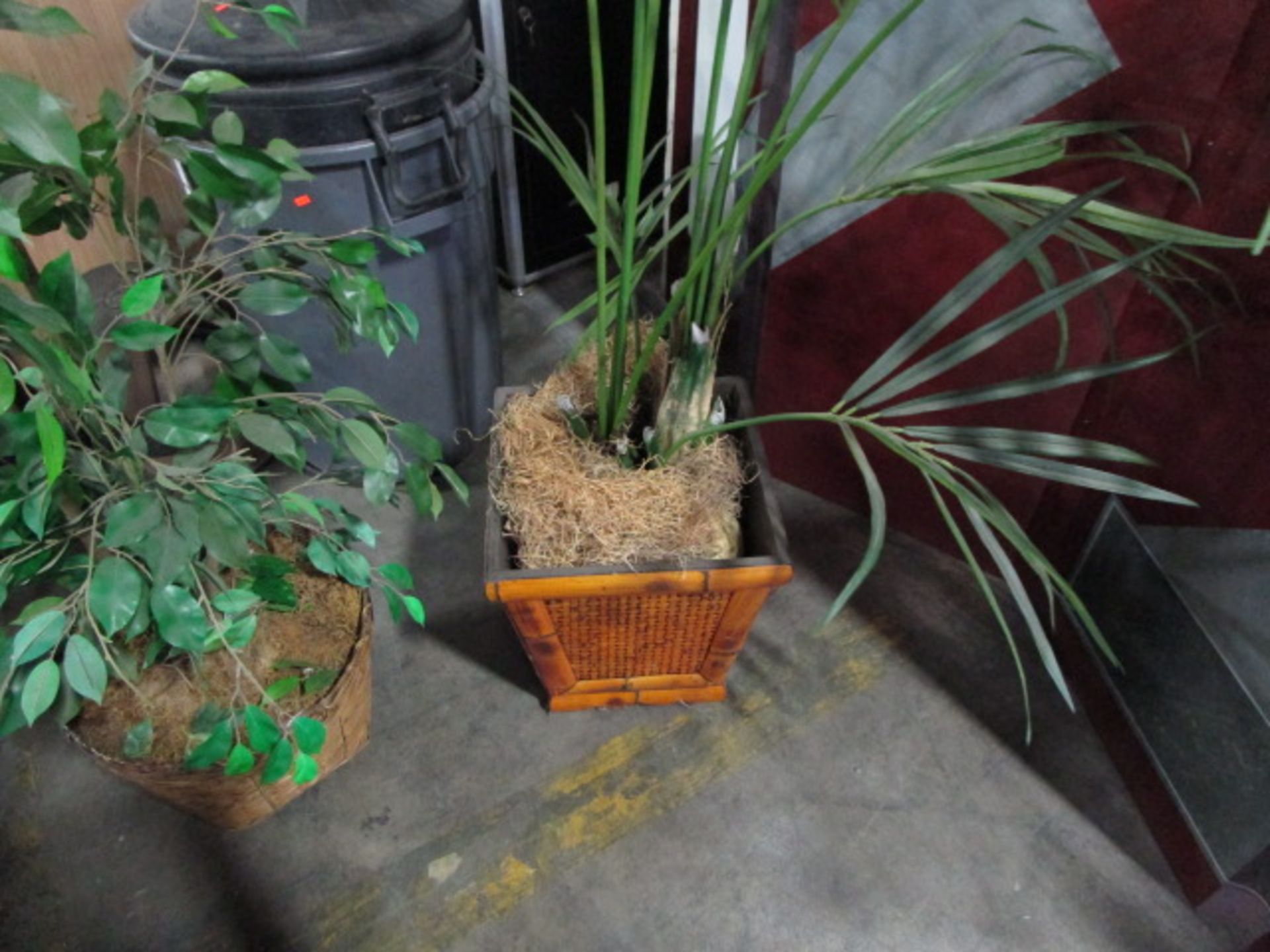 LOT TO INLCUDE FAKE OFFICE PLANT - Image 3 of 3