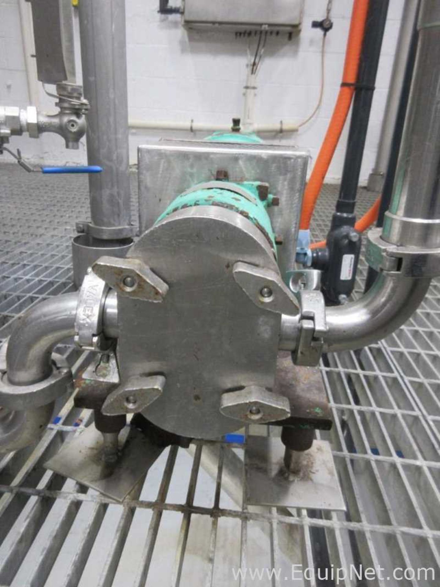 Tri Clover Inc. Sanitary Stainless Steel Positive Displacement Pump - Image 2 of 4