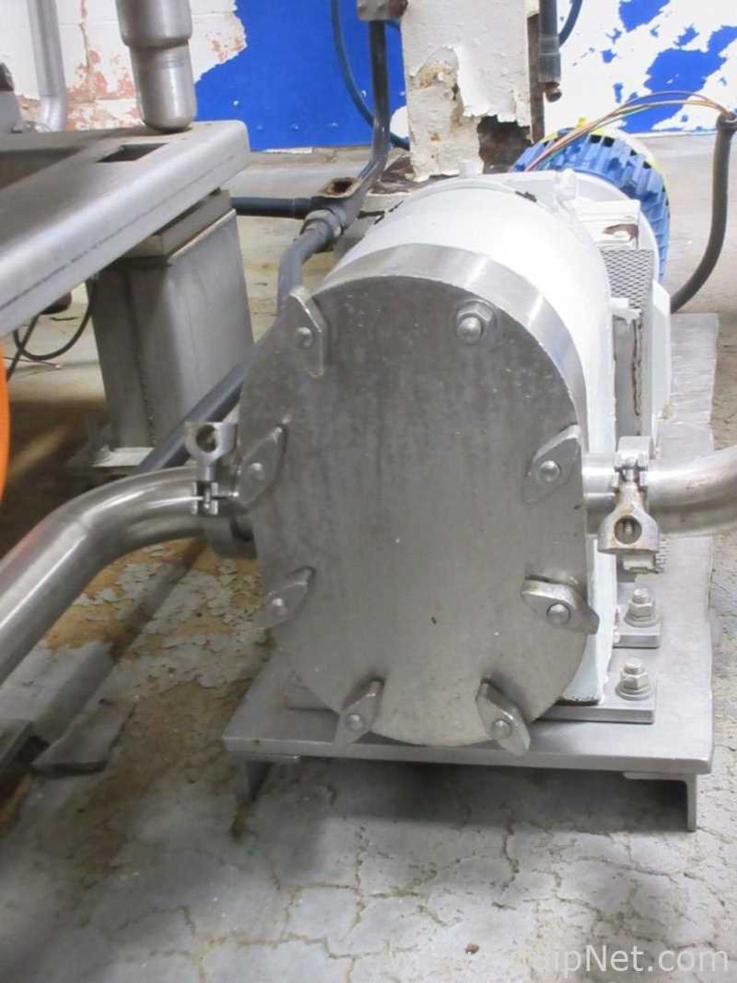 Tri Clover Inc. Sanitary Stainless Steel Positive Displacement Pump - Image 11 of 13