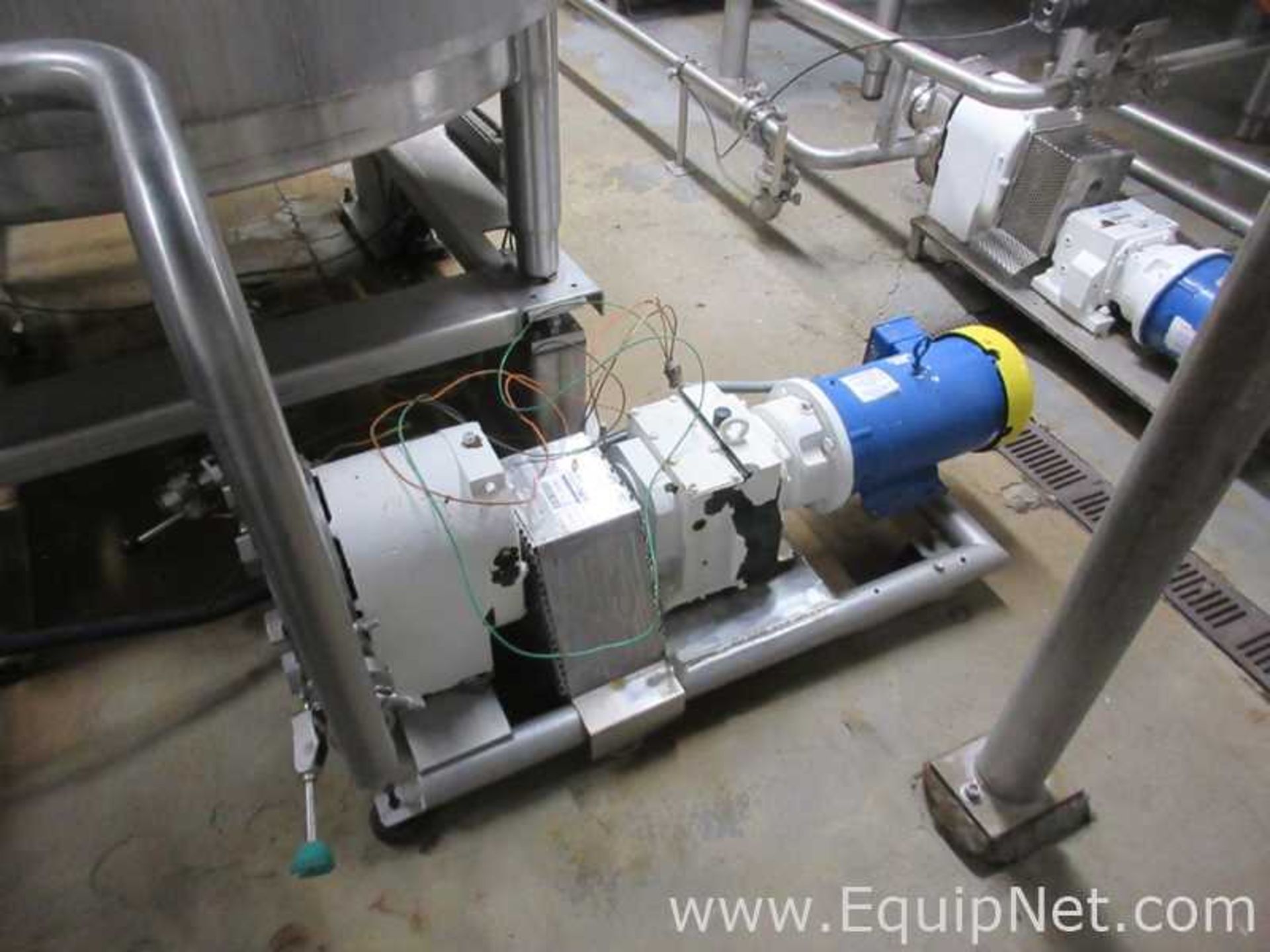 Tri Clover Inc. PR60-2M-UC4-ST-S Positive Displacement Pump - Image 3 of 6