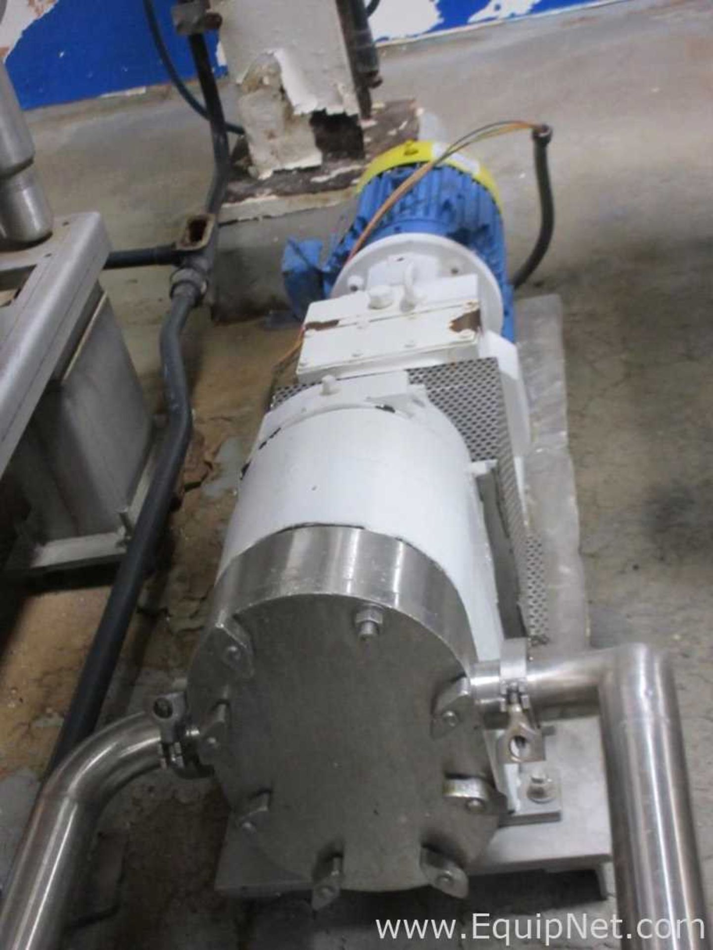 Tri Clover Inc. Sanitary Stainless Steel Positive Displacement Pump - Image 3 of 13
