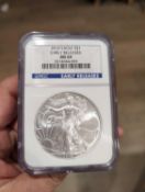 2010 Graded Silver Eagle