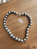 14kt White Gold Cultured South Sea Pearl Necklace