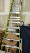 Little Giant Safety Cage ladder