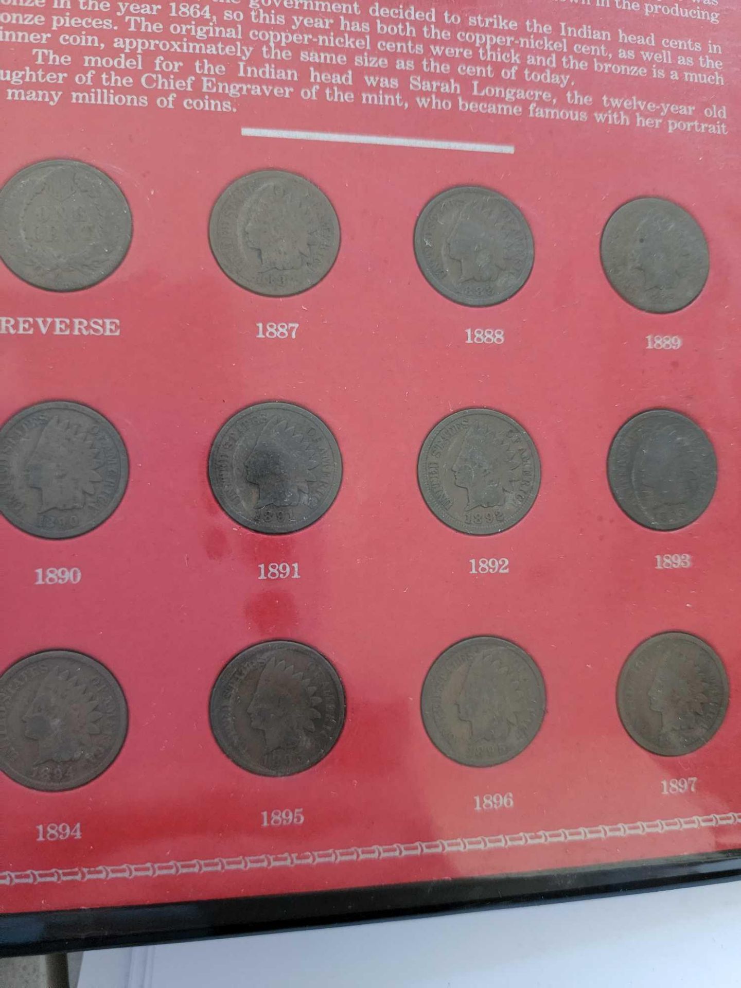 Indian head cents collectable book - Image 4 of 5