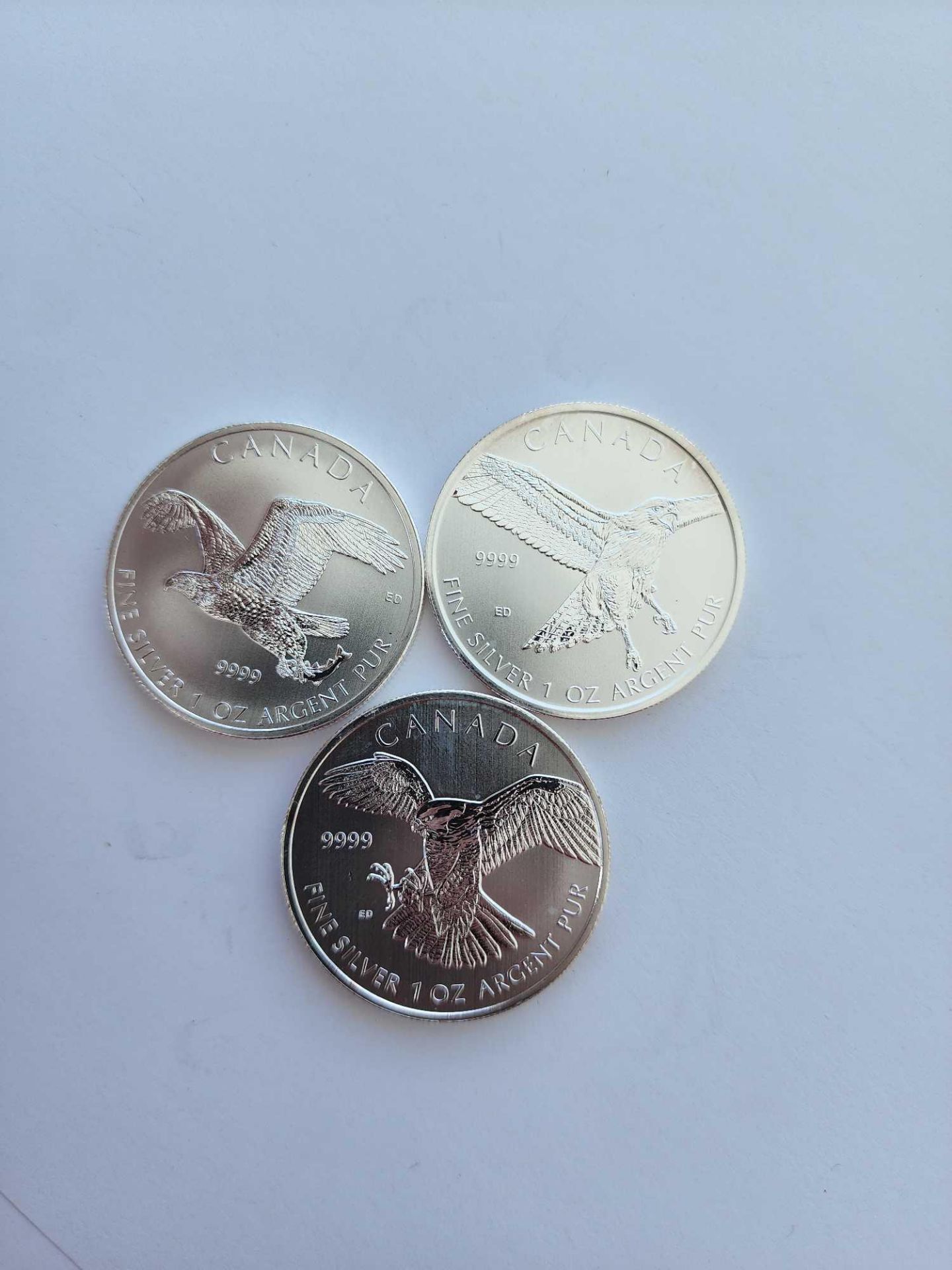 3 1 oz Silver canada birds silver coins - Image 2 of 5