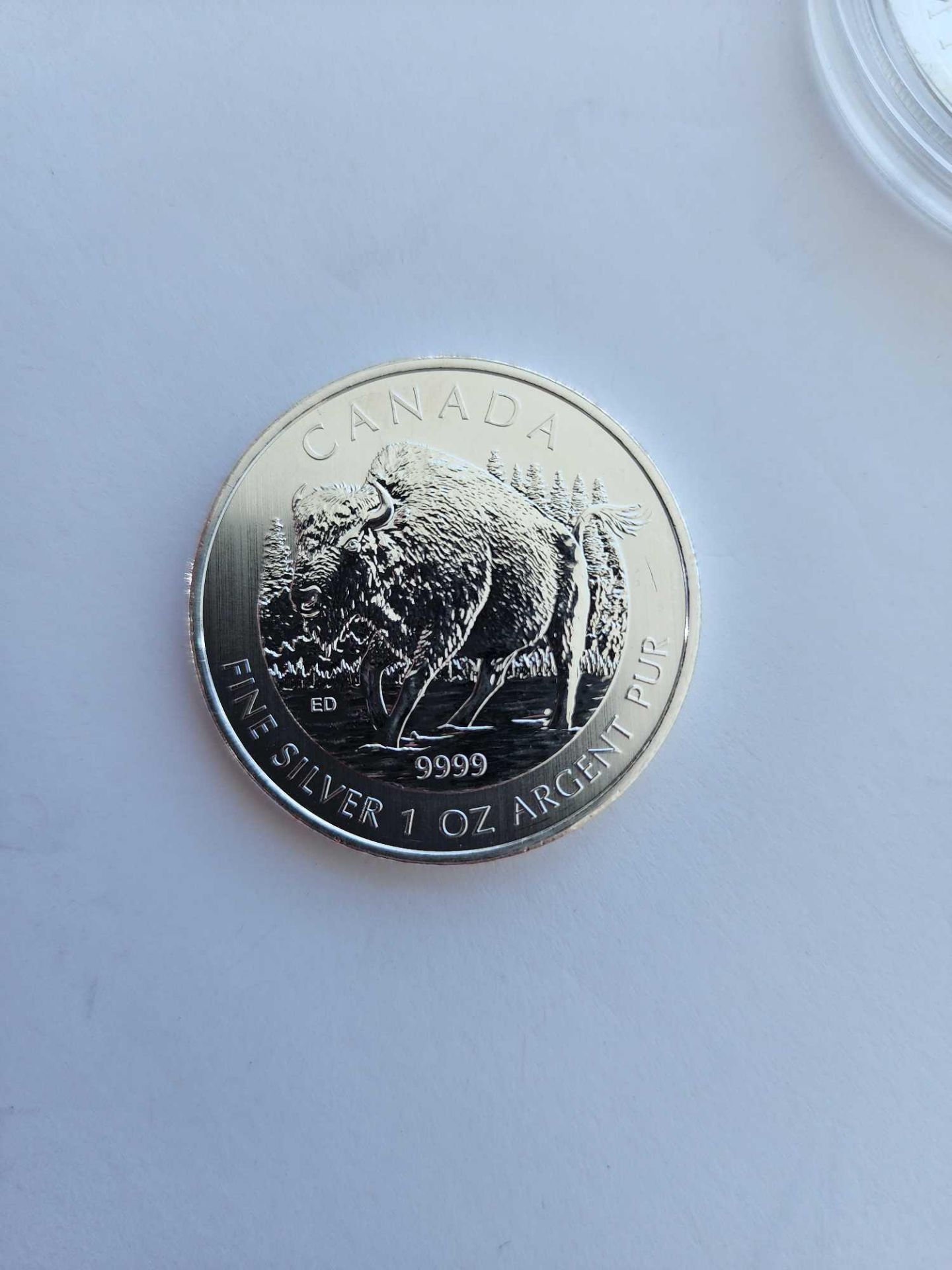 Silver Shield and Bison Silver Coin - Image 3 of 4