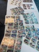 Sports Cards