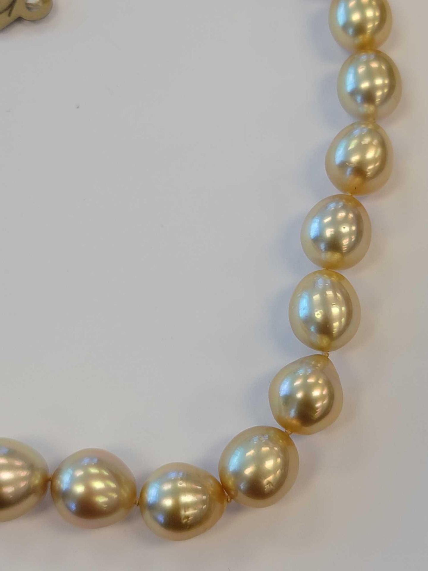 Rare Natural Golden South Sea Pearls, 33 south sea pearls - Image 2 of 7