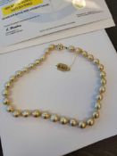 Rare Natural Golden South Sea Pearls, 33 south sea pearls