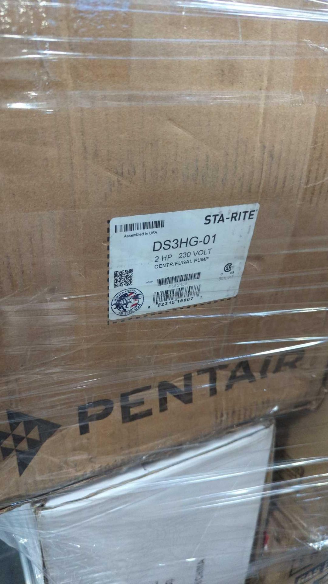 pentair centrifugal pump DS3HG-01 - Image 11 of 14