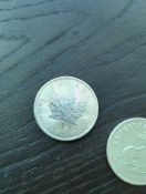 Silver Krugerrand and Maple Leaf