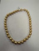 rare natural golden South Sea pearls with 14 karat gold