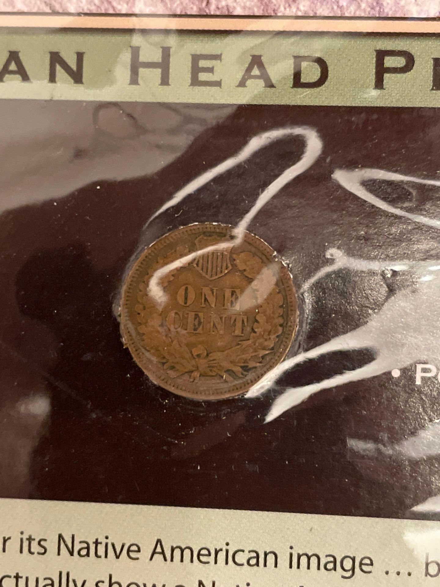 Indian Head Pennies and more - Image 7 of 14